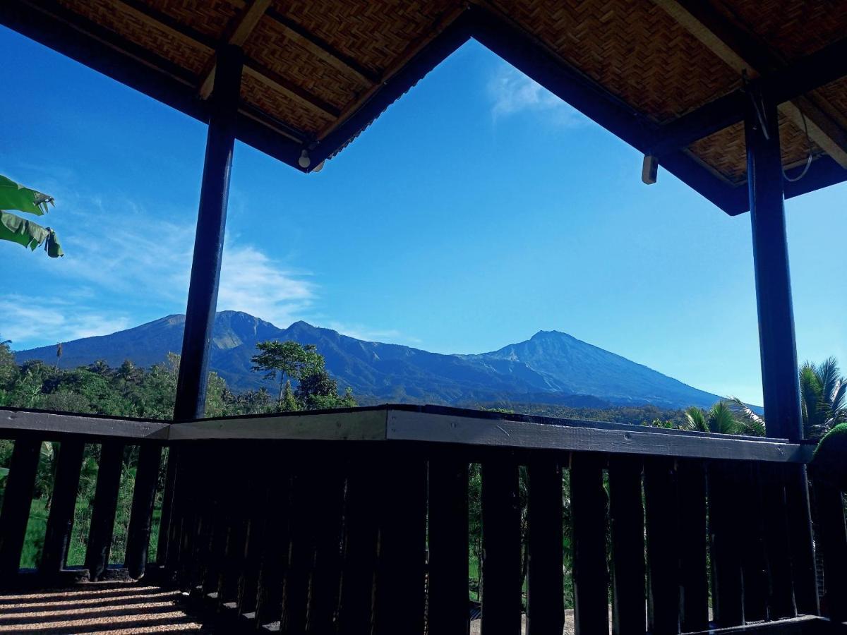 Tetebatu Mountain View Homestay Oda fotoğraf