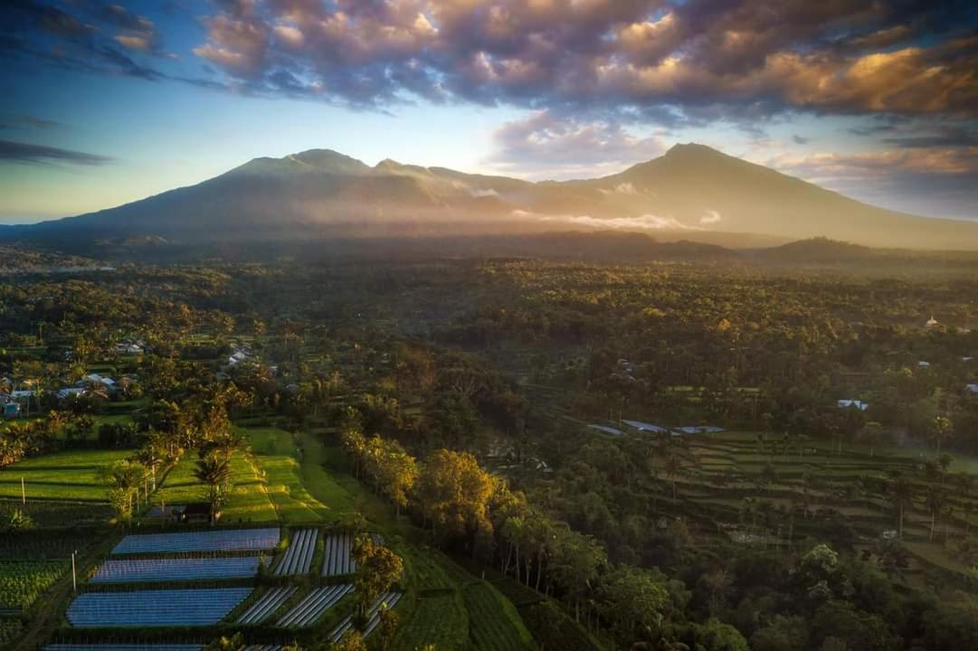 Tetebatu Mountain View Homestay Dış mekan fotoğraf