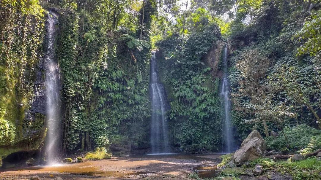 Tetebatu Mountain View Homestay Dış mekan fotoğraf