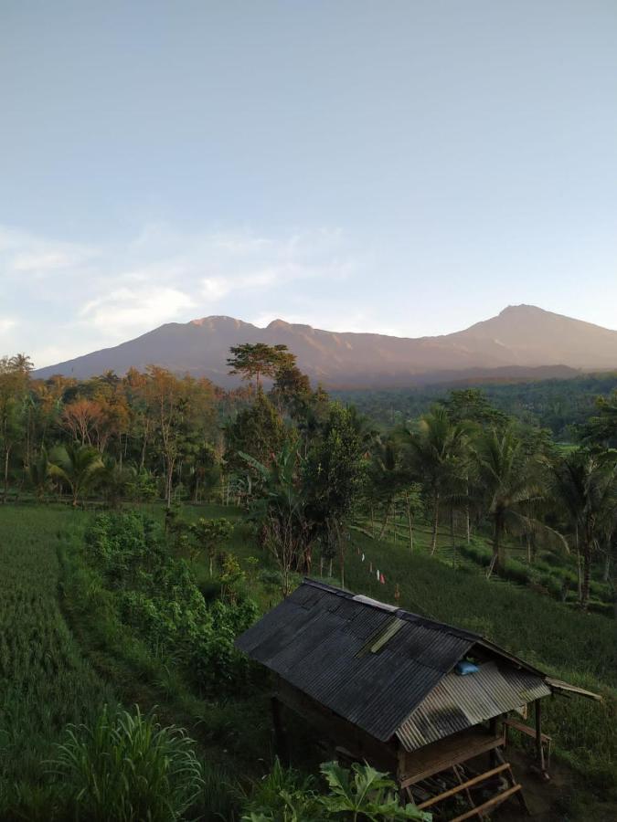 Tetebatu Mountain View Homestay Dış mekan fotoğraf