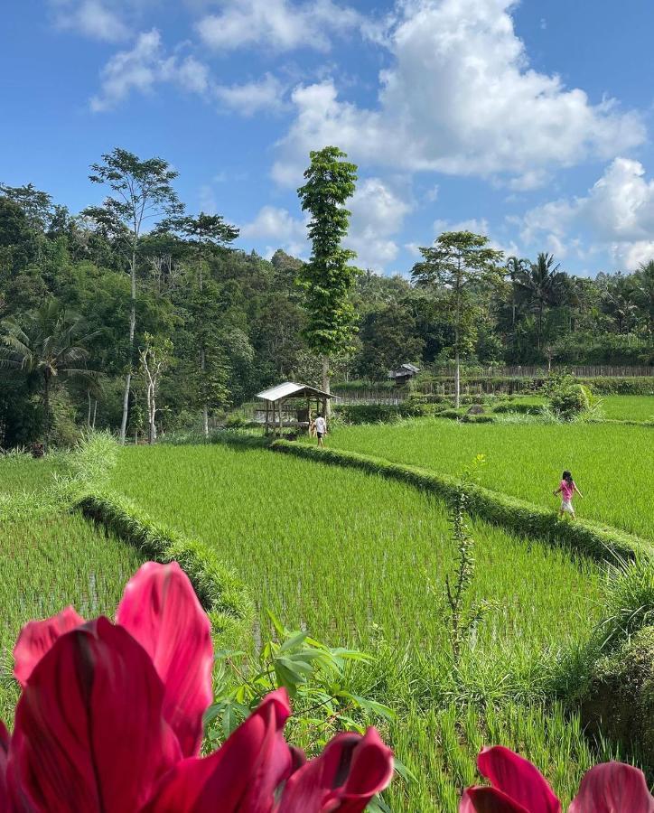 Tetebatu Mountain View Homestay Dış mekan fotoğraf