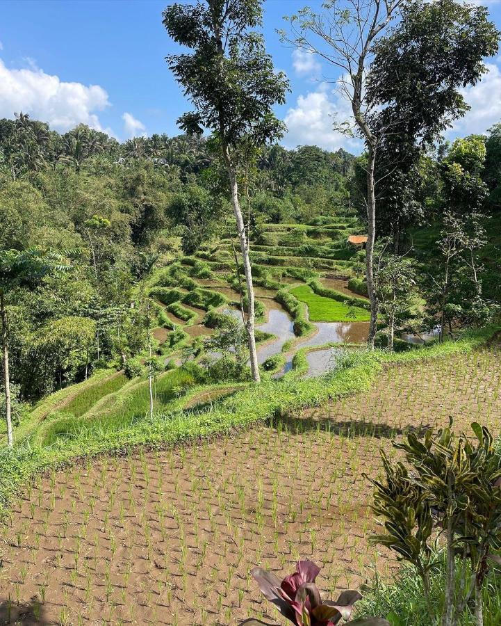 Tetebatu Mountain View Homestay Dış mekan fotoğraf