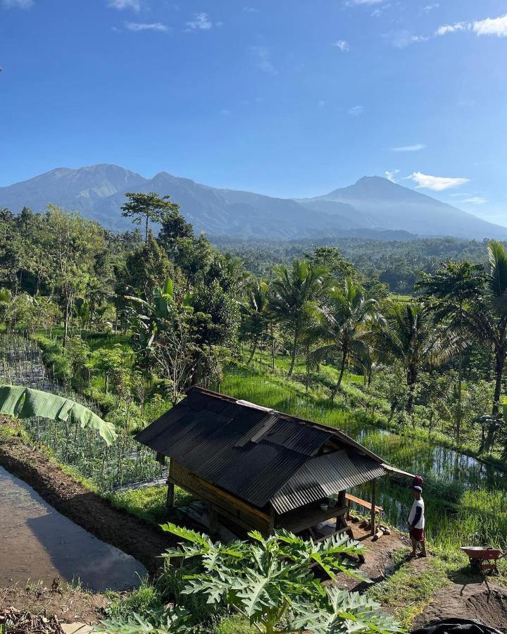 Tetebatu Mountain View Homestay Dış mekan fotoğraf