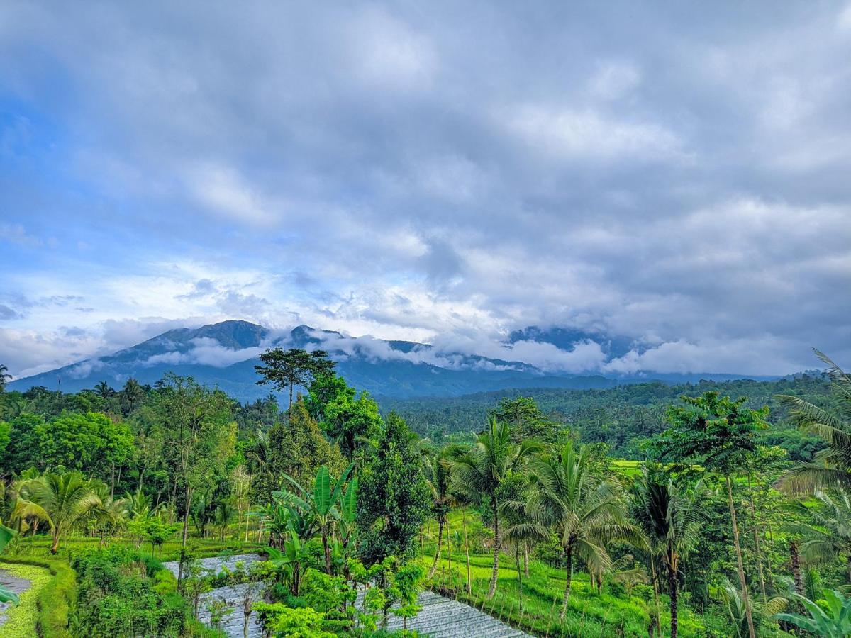Tetebatu Mountain View Homestay Dış mekan fotoğraf