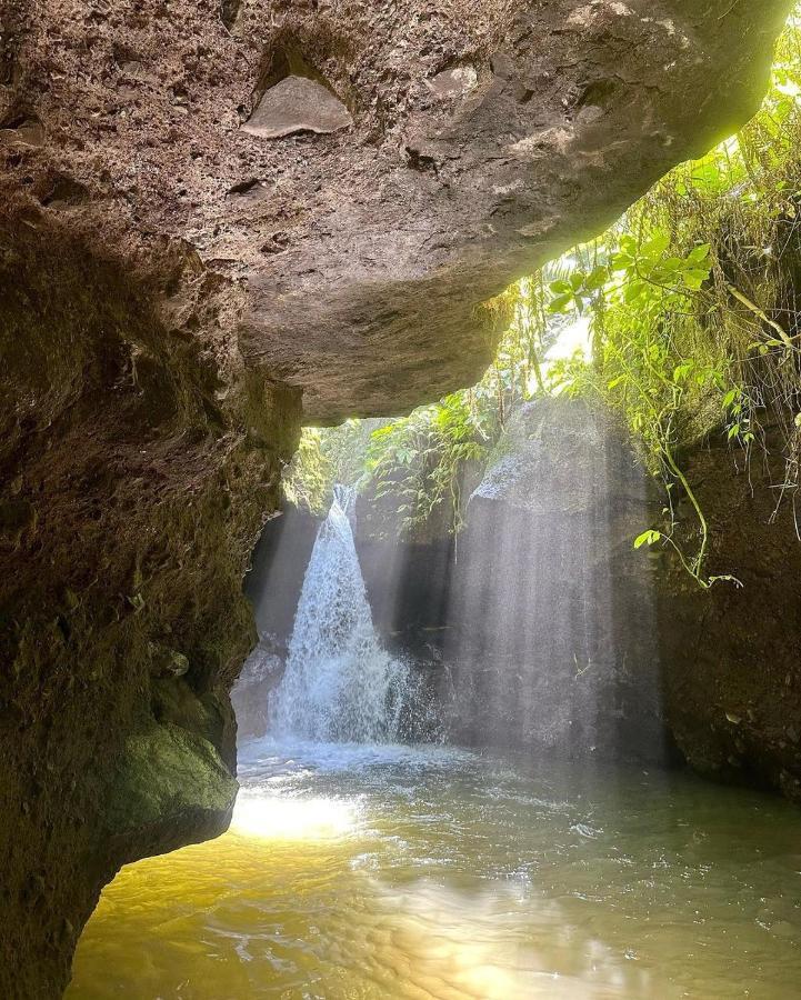 Tetebatu Mountain View Homestay Dış mekan fotoğraf