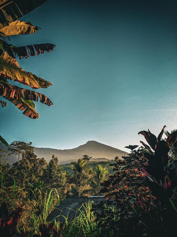 Tetebatu Mountain View Homestay Dış mekan fotoğraf