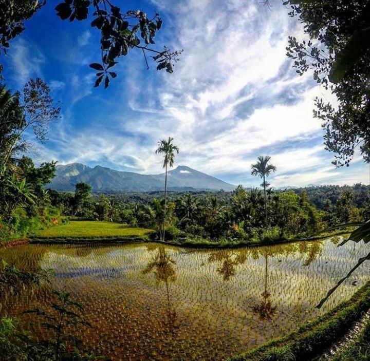 Tetebatu Mountain View Homestay Oda fotoğraf