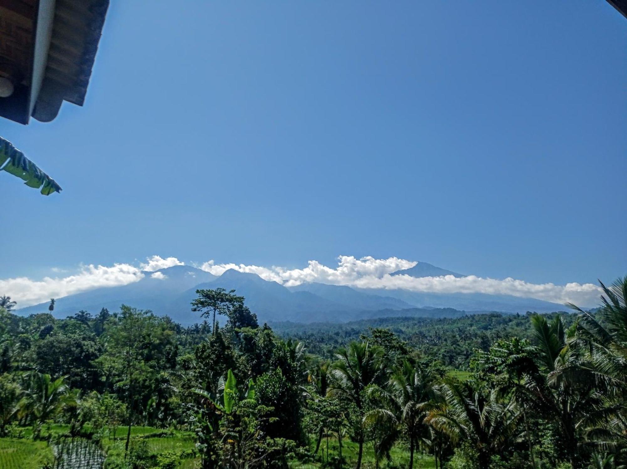 Tetebatu Mountain View Homestay Oda fotoğraf