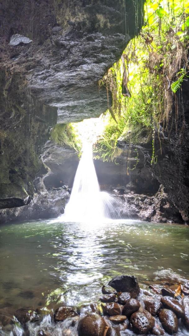 Tetebatu Mountain View Homestay Dış mekan fotoğraf
